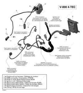 09 ski doo 800 spark pug schematic