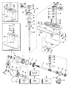 1987 evinrude cooling system diagram