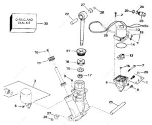 1992 evinrude 50 hp where is release tilt cylinder located diagram