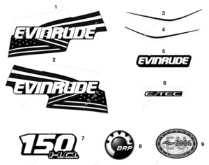2008 evinrude 150 etec pictures