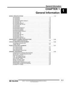 2010 polaris rmk service manual