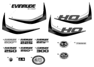 2015 evinrude 225 ho