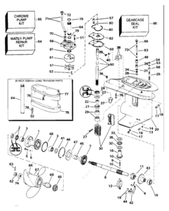 25 tohatsu drive shaft bearing direction