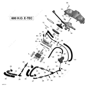 600ho etec oily rave exhaust valve symptoms