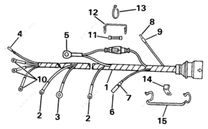 Assembly metagenomic reads diagrams