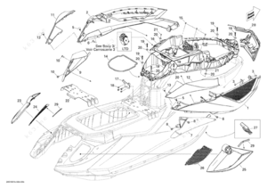Body diagram back