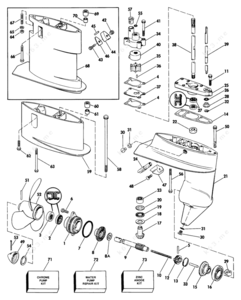 Differentiate evinrude s versus s2 gearcase type