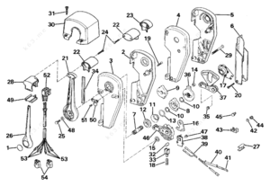 Drawings of the environment in your community