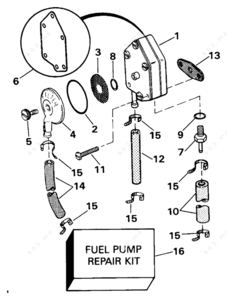 Evinrude 2020 fuel system diagram