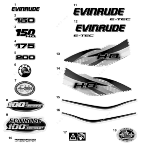 Evinrude brp 150 wiring