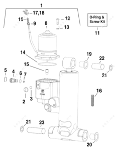 Evinrude e75dplsum