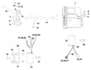 Evinrude emm diagram