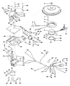 Evinrude ignition wiring 140 images