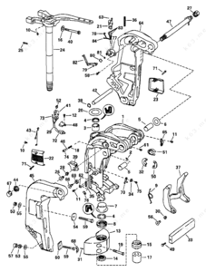 Evinrude ram ficht