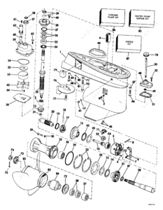 Evinrude transom size on motor how to measure