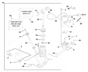 Evinrude trim release screw