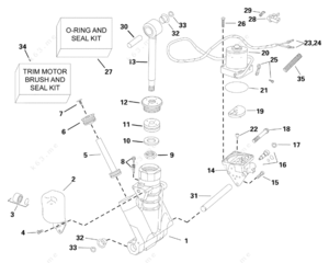 Evinrude trim tilt reservoir