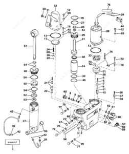 F115 showa tilt and trim assembly diagram
