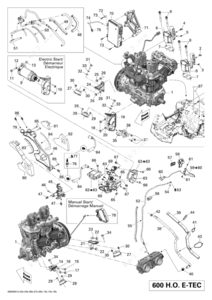 Fantasy map black and white