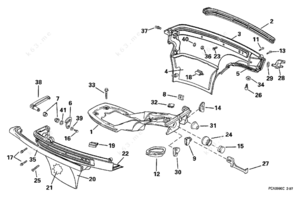 Female pig reproductive system