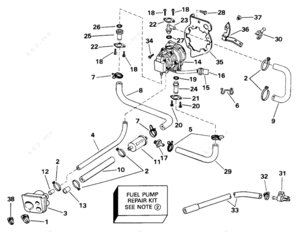 Fuel system on a 1989 70 hp evinrude