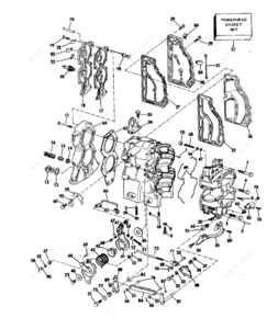 Gy6 regulate diagram