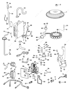 Images of 2001 trailblazer 250 flywheel assembly diagram
