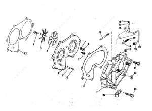 Mickey and friends picture outline
