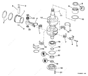Parts diagram for 1998 2 hp evinrude