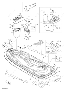 Rear view organ location in body