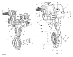 Rev-xu transmission