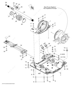 Sea hare diagram with jet propulsion