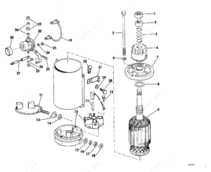 Sizing light bulb sockets for insertion into a light fixture