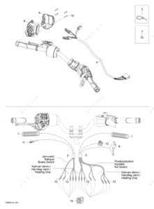 Skidoo harness terminal numbers