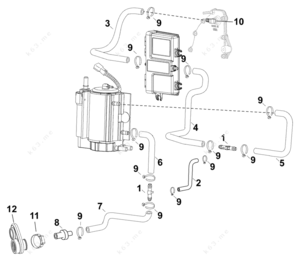 Skip dimensions nwh