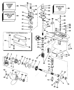 Sprngskiss evinrude