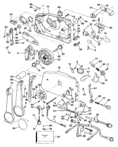 Thomas rainer plan garden