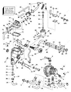 Where to locate gas solenoid 2000 35 hp. johnson